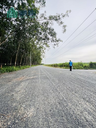 BÁN 3300m2 ĐẤT MẶT TIỀN GIỒNG CÀ BÌNH MINH TP. TÂY NINH GIÁ 4,5 TỶ (TL) LH 0799916699/ 0963391313