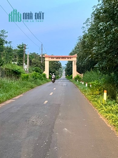 Chính chủ bán gấp 13290m2 đất Hoà Hưng, Xuyên Mộc, BRVT 5,19 tỷ. Lh: 0877332863