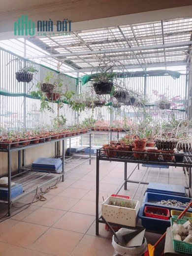 Bán nhà 44m2 phố Nghi Tàm, Tây Hồ Gara Ô tô 7 chỗ Thang máy Nhập Mặt tiền khủng Giá 7.4 Tỷ