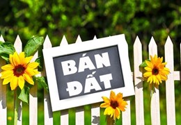 Bán lô đất đường Lưu Cơ, Phường Ninh Khánh, TP Ninh Bình.
