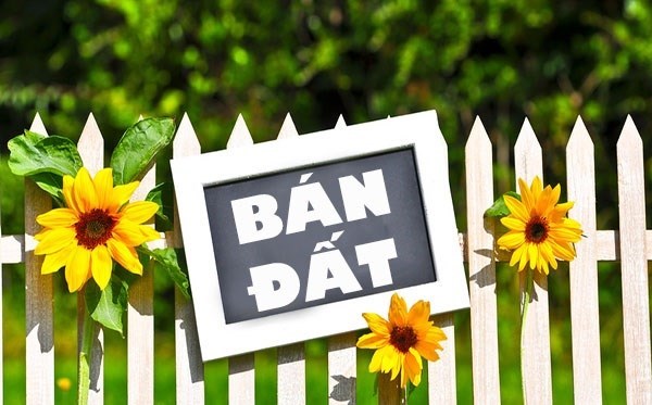 Bán lô đất đường Lưu Cơ, Phường Ninh Khánh, TP Ninh Bình.