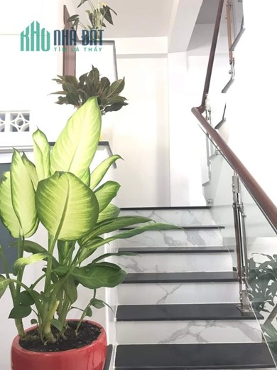 Nhà đẹp mới - Trần Xuân Soạn - Q7-2 Tầng - 4.37m×7.5m- 2PN - Chỉ 3.7 Tỷ