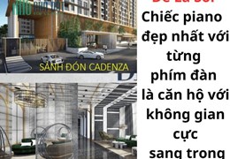 Nhà 9x bán từng phím đàn trên cây đàn piano đắt nhất thế giới