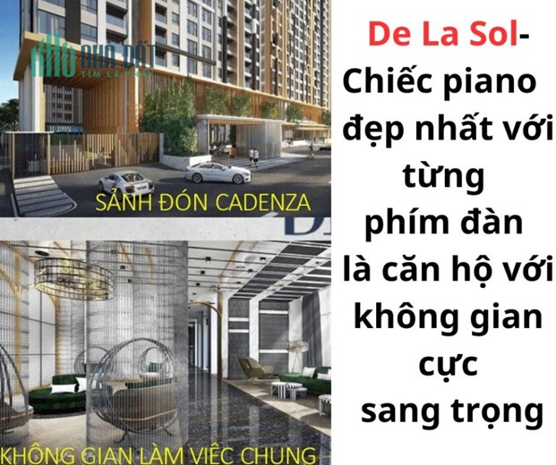 Nhà 9x bán từng phím đàn trên cây đàn piano đắt nhất thế giới