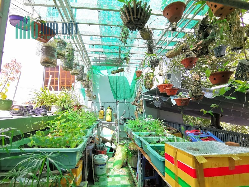 MT Nguyễn Phước Nguyên 160m2 ngang 6.5, Kinh Doanh, 7.x tỷ