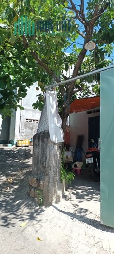 Cho thuê nhà nguyên căn 70m2 Đường Hoàng Văn Thụ, Quy Nhơn, Bình Định