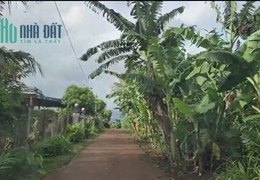 Bán Đất Sổ Đỏ Chính Chủ - Diện Tích 10x38m (60m2 Thổ Cư)