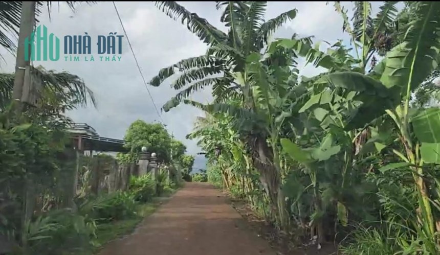 Bán Đất Sổ Đỏ Chính Chủ - Diện Tích 10x38m (60m2 Thổ Cư)