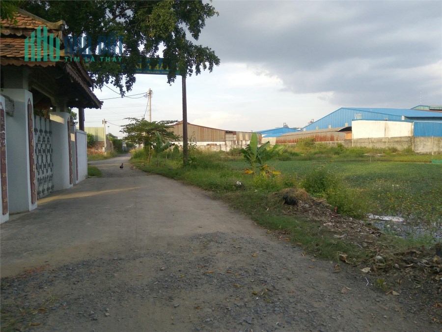 Bán Đất Xuân Thới 8  Hóc Môn Giá Rẻ 2023