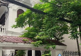 BT CẦU GIẤY, MP NGUYỄN KHANG 155M, 4T, MT, 8.5M, Ô TÔ TRÁNH, 2 THOÁNG, 33 TỶ, 0937651883.