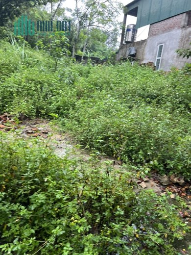 Bán lô đất sổ đỏ chính chủ 620m2 có 200m đất ở , Ngõ rộng 3m