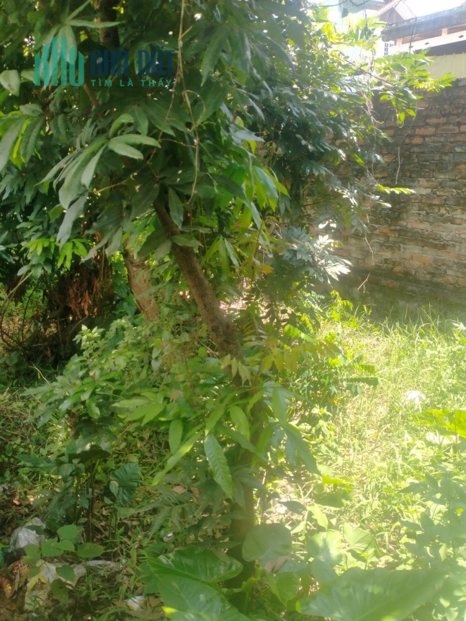 Chính Chủ Cần Tiền Bán Gấp 94,4m2 Ngõ Chính Thôn, Chợ Bình Đà, Bình Minh, Thanh Oai