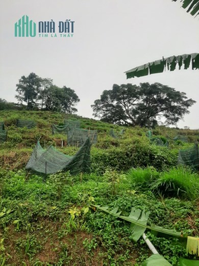 Bán đất tại Lộc Thành – Bảo Lâm – Lâm Đồng – 0984 96 70 76