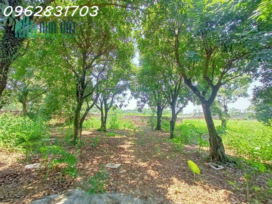 bán 4880m2-800 tc bám đường xe công tranh nhau dài tới 50m giá rẻ