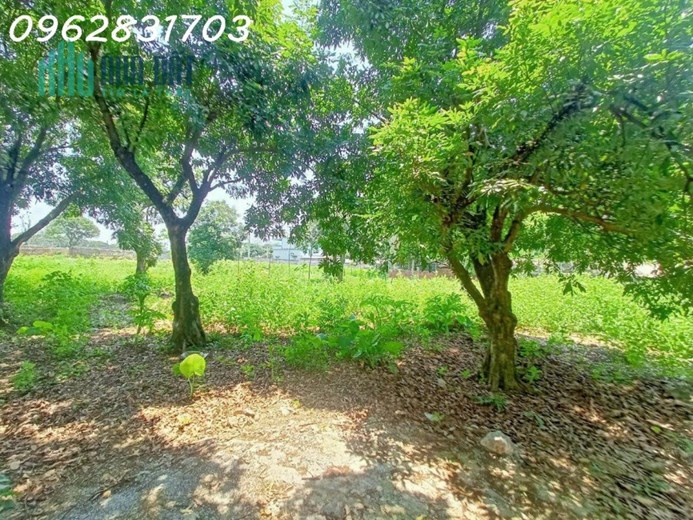 bán 4880m2-800 tc bám đường xe công tranh nhau dài tới 50m giá rẻ