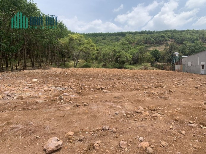 CHỦ CẦN BÁN GẤP LÔ ĐẤT QL14 - DIỆN TÍCH 5530M2 - MẶT TIỀN 37M - VỊ TRÍ ĐẸP NGAY UBND XÃ THỌ SƠN -