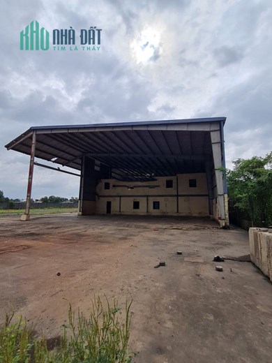 CHO THUÊ KHO XƯỞNG- KÈM SÂN BÃI 1,6ha
