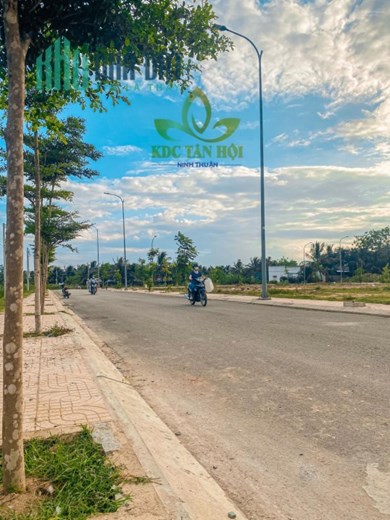 KDC Tân Hội đầu đường Thống Nhất TP Phan Rang là nơi lý tưởng tại thời điểm này để trú ngụ của dòng
