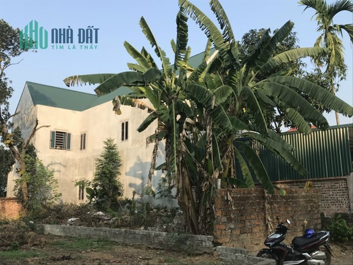 Nhỉnh 3tỷ có 300m2 thổ, nhà xấy 2 tầng mới chưa kịp sơn, khu trung tâm Thạch Thất, cách HN 25p
