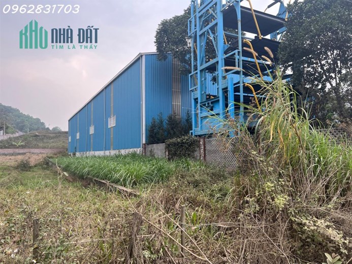 Chủ cần tiền bán 350m trục chính bãi dài giá tốt nhất thị trường