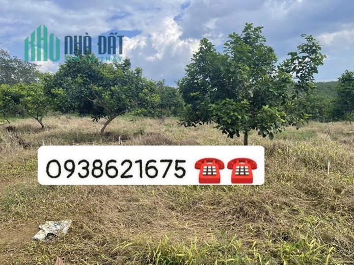 ĐẤT ĐẸP - GIÁ TỐT - Cần Bán Lô Đất Vị Trí Đắc Địa Tại Xã Đồng Tiến, Huyện Đồng Phú, Bình Phước