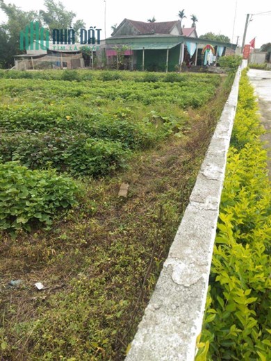 Đất chính chủ - Giá ưu đãi cần bán nhanh lô đất tại xã Thạch Văn, Thạch Hà, Hà Tĩnh.
