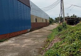 CHÍNH CHỦ BÁN NHÀ XƯỞNG RỘNG TẠI TÂN MỸ, BA TRI, BẾN TRE - GIÁ RẺ BẤT NGỜ