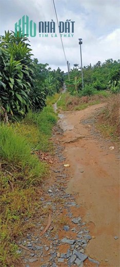 ĐẤT ĐẸP - GIÁ TỐT - Cần Bán Lô Đất Vị Trí Đắc Địa Tại xã Lộc Nam, huyện Bảo Lâm, tỉnh Lâm Đồng