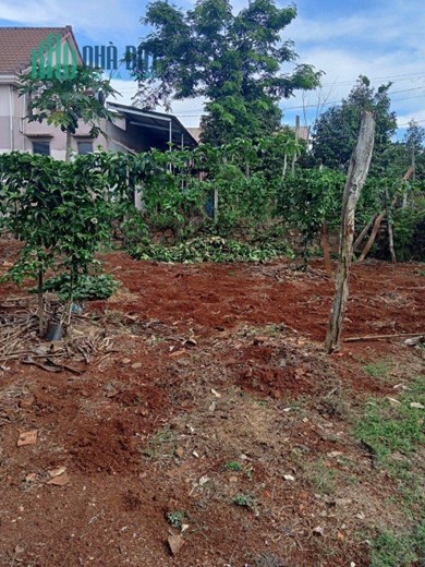 ĐẤT ĐẸP - GIÁ TỐT - Cần Bán Lô Đất Mặt tiền Vị Trí Đắc Địa Tại Buôn Ma Thuột