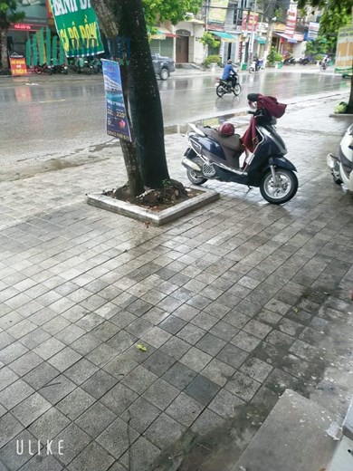 SANG NHƯỢNG CỬA HÀNG ĐỊA CHỈ 324 ĐƯỜNG NGUYỄN TRÃI, PHÚ SƠN, THANH HOÁ