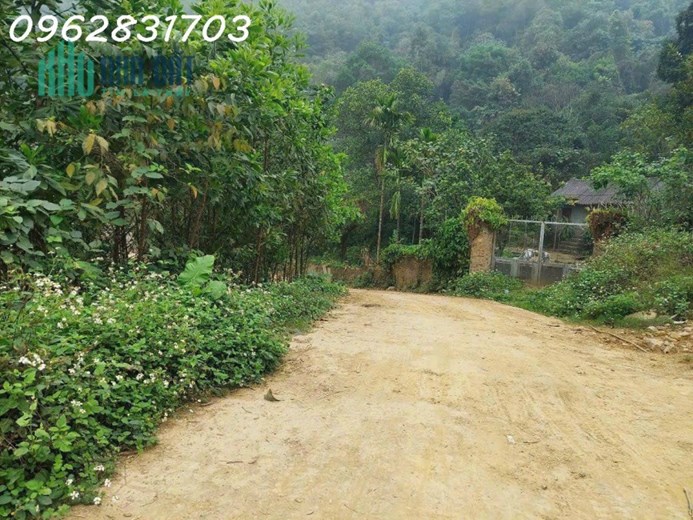 bán 828m đất tiến xuân giá cự rẻ- làm việc chính chủ