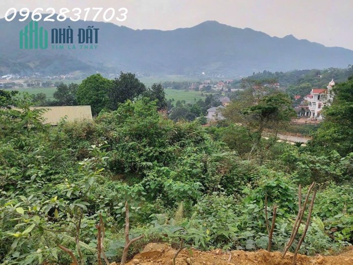 bán 828m đất tiến xuân giá cự rẻ- làm việc chính chủ
