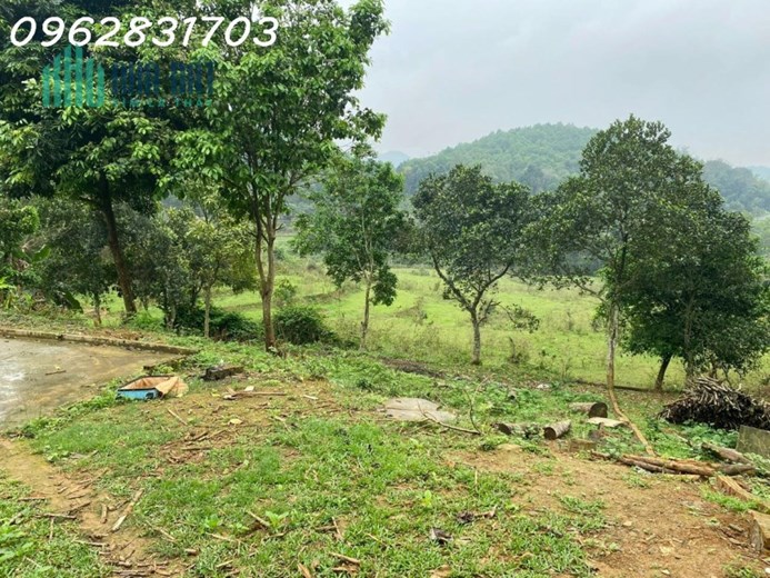 bán 828m đất tiến xuân giá cự rẻ- làm việc chính chủ