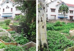 GẤP BÁN LÔ ĐẤT 500M2 QUẬN 2 GIÁ CHỈ 195TR/M2