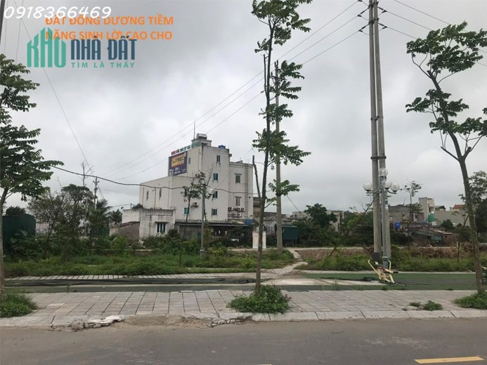 chính chủ cần tiền nên bán gấp đất dự án Green Park Đông Hưng, tỉnh Thái Bình giá 5.9 tr/m2, dt 125