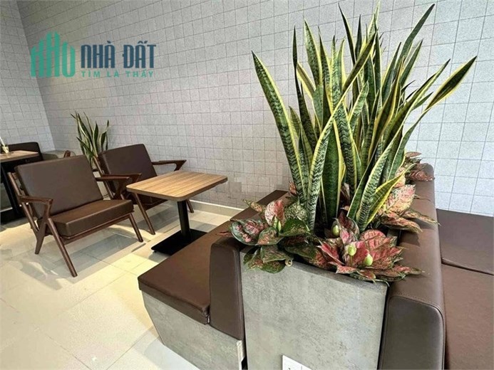 Sang quán cafe Shophouse Florita, D1 Him Lam, P.Tân Hưng