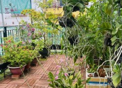 3 TẦNG S N THƯỢNG – NGAY CHỢ NHỊ THIÊN ĐƯỜNG - CHỈ NHỈNH 4TỶ   4.35tỷ Phường 5 Quận 8