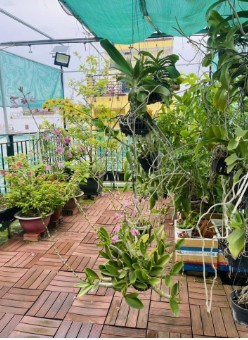 3 TẦNG S N THƯỢNG – NGAY CHỢ NHỊ THIÊN ĐƯỜNG - CHỈ NHỈNH 4TỶ   4.35tỷ Phường 5 Quận 8