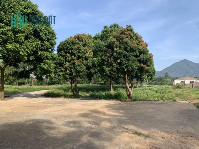 Siêu Phẩm Lô Góc 3 Mặt Tiền, Minh Phú, Sóc Sơn, Hà Nội. Lh 0963886233