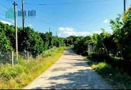 đất giá rẻ như hạt dẻ đây ạ