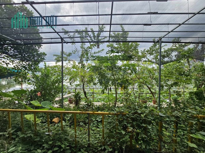 CHO THUÊ MẶT BẰNG KINH DOANH HÀNG ĂN 350m2 _ GIÁ 25tr/tháng _ ĐẶNG THAI MAI - PHỦ TÂY HỒ
