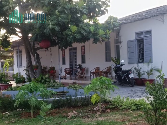 BÁN NHÀ, ĐẤT BIỆT THỰ: GIÁ RẼ TAI THÀNH PHỐ NHA TRANG TỈNH KHÁNH HÒA