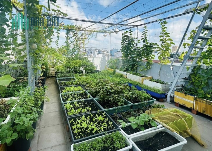 Bán nhà hẻm xe Phú Nhuận, 4 x14M x 5 Tầng mới đẹp, giá 10.5 tỷ