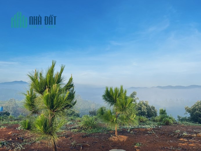 Bán đất gần trung tâm Bảo Lộc, 150m2 sẵn 140m2 thổ, SHR, chỉ 786tr. Lh:0961967892