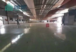 Xưởng 3500m2 xe Công 24h, PCCC tự động, Giá cực rẻ