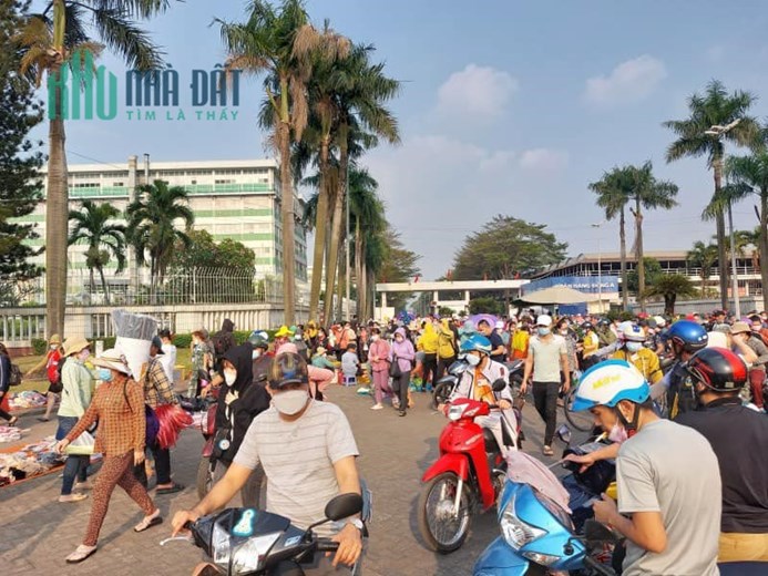Ngân Hàng Phát Mãi lô đất 263m2 thổ cư, sát bên cụm KCN, dân cư đông. Giá 215TR
