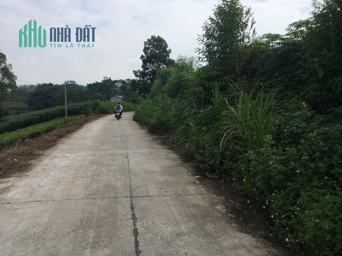 Chính chủ cần bán nhanh lô đất Thuộc Lệ Mỹ - Phù Ninh - Phú Thọ.