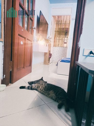 Cho thuê chung cư mini 30m2, 1n 1k đầy đủ đồ tại ngõ 164 Vương Thừa Vũ, Thanh Xuân