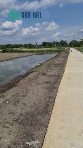 Bán lô đất đường bê tông xã Bình Khánh, Cần Giờ 2,8tỷ