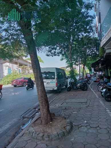 Bán đất xây CCMN tuyệt đẹp khu vực Hoàng Cầu, Đống Đa, 209m2, mt8m, nhỉnh 24 tỷ